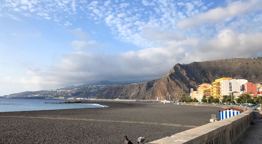 Photo of Tangerine Splash