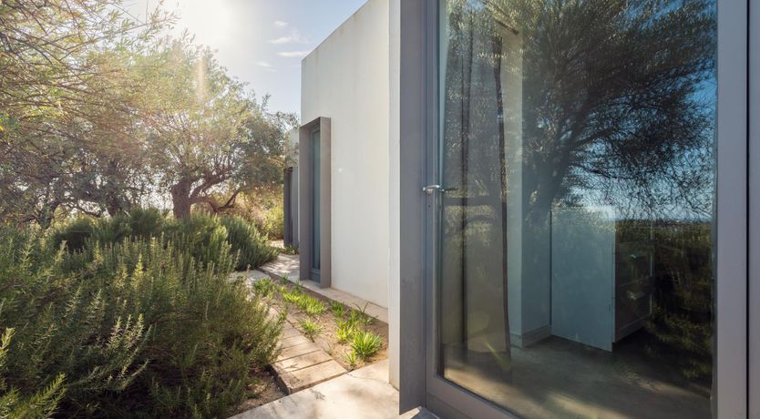 Photo of Noto & Lemons