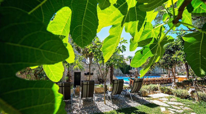 Photo of Mythological View