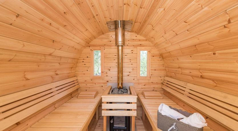 Photo of Lark's Song