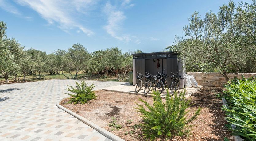 Photo of Lark's Song