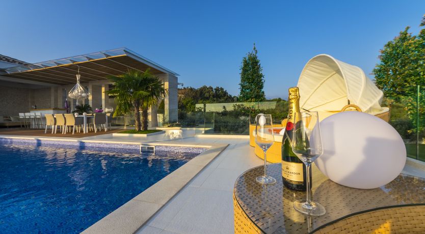 Photo of Dalmatian Dream