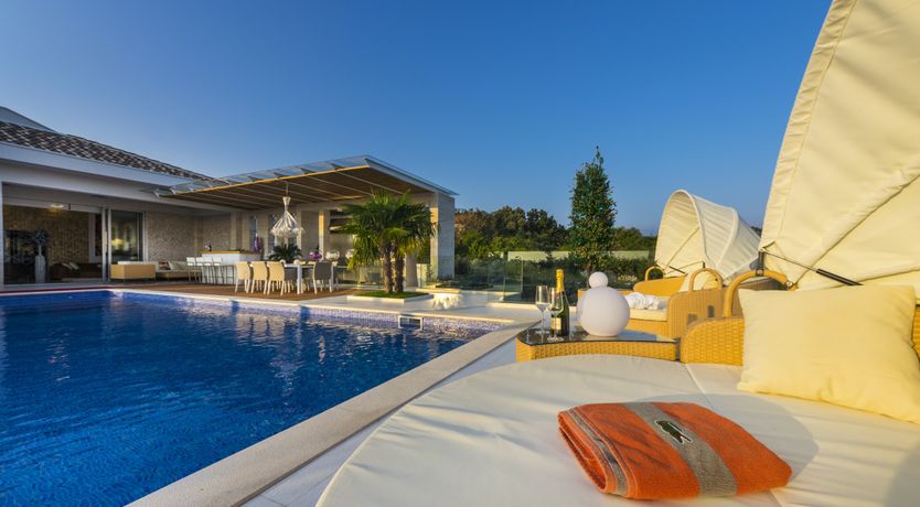 Photo of Dalmatian Dream