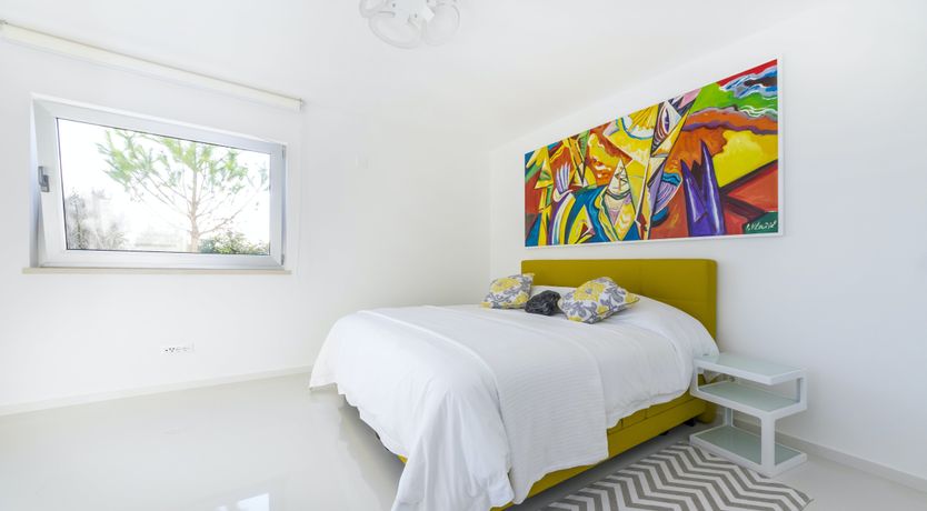 Photo of Dalmatian Dream