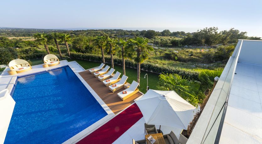 Photo of Dalmatian Dream