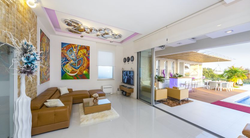 Photo of Dalmatian Dream