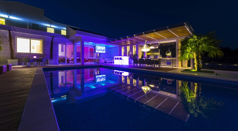 Photo of Dalmatian Dream