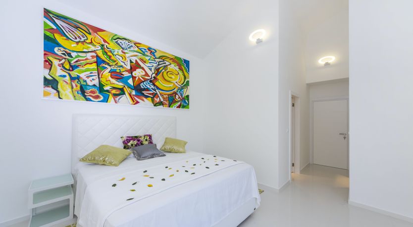 Photo of Dalmatian Dream