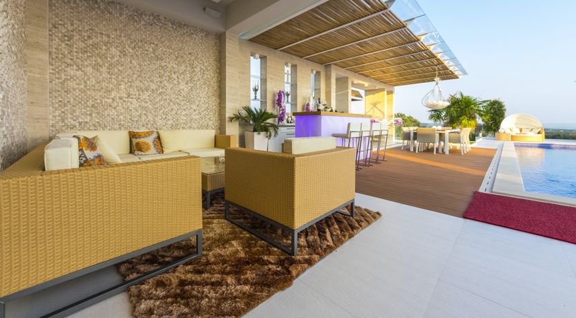 Photo of Dalmatian Dream