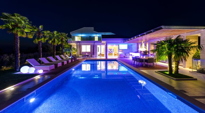 Photo of Dalmatian Dream