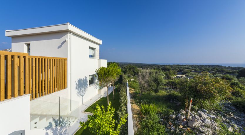 Photo of Dalmatian Dream