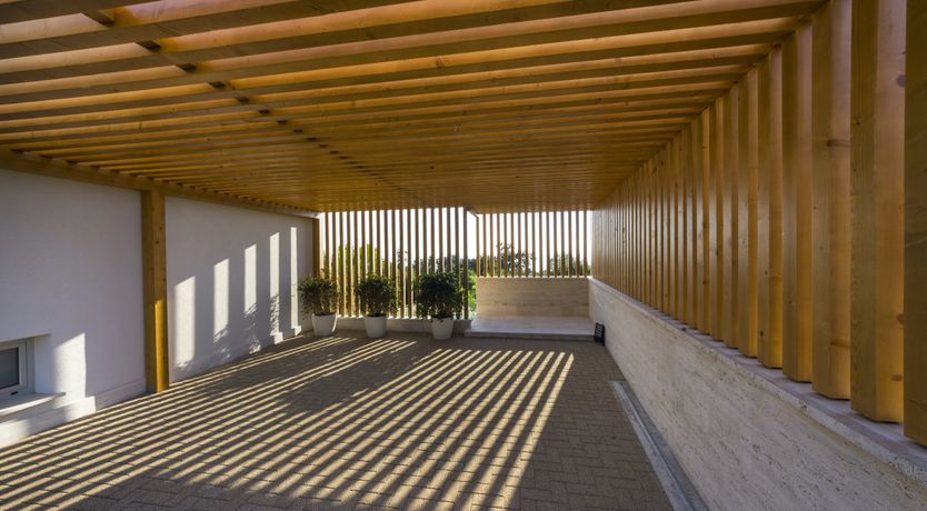 Photo of Dalmatian Dream