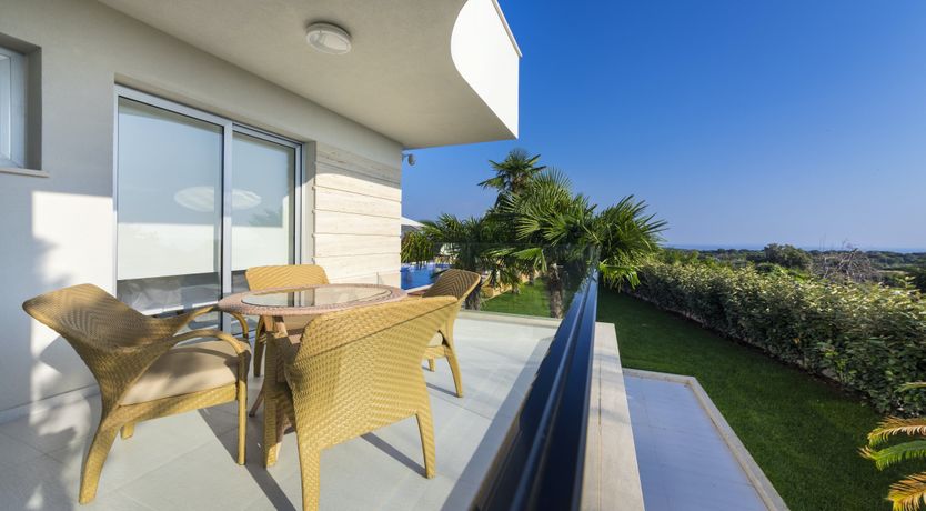 Photo of Dalmatian Dream