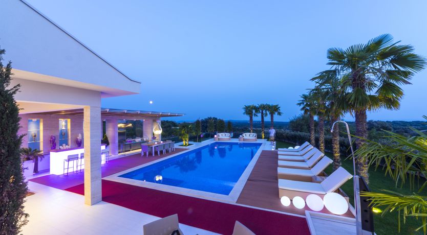 Photo of Dalmatian Dream