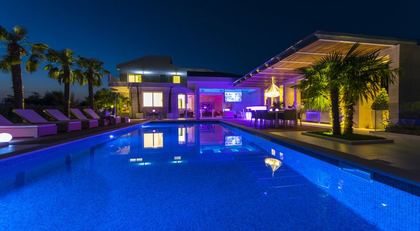 Photo of Dalmatian Dream