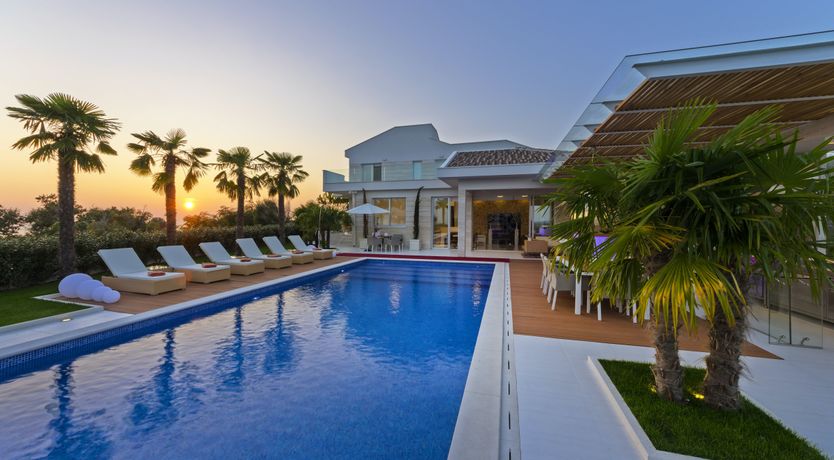 Photo of Dalmatian Dream