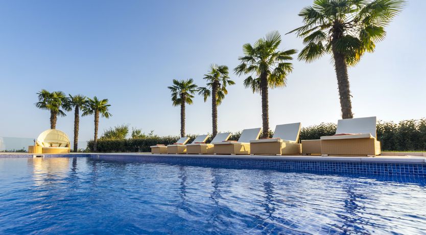 Photo of Dalmatian Dream