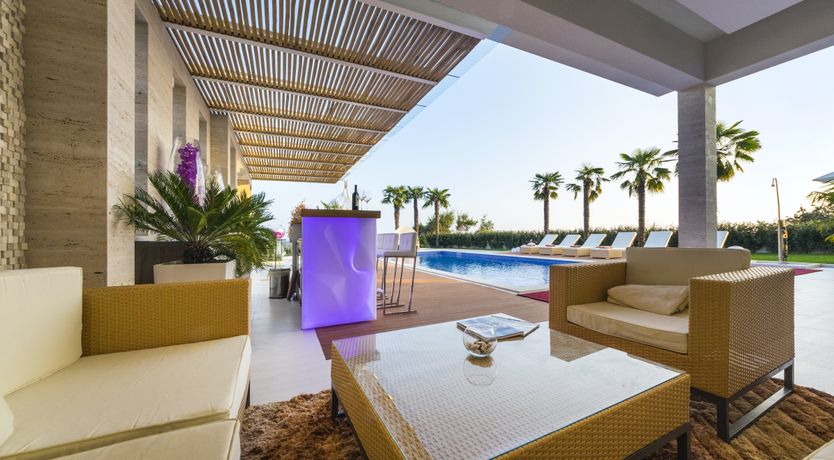 Photo of Dalmatian Dream