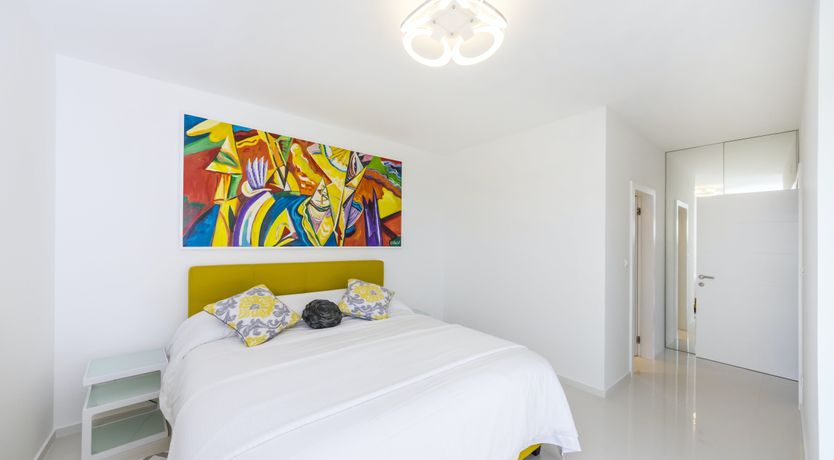 Photo of Dalmatian Dream