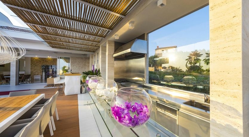 Photo of Dalmatian Dream