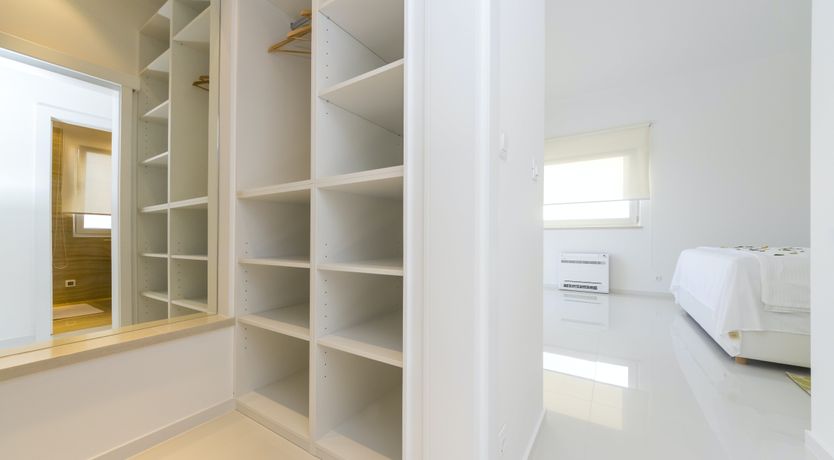 Photo of Dalmatian Dream