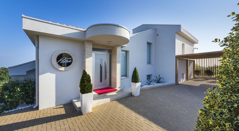 Photo of Dalmatian Dream