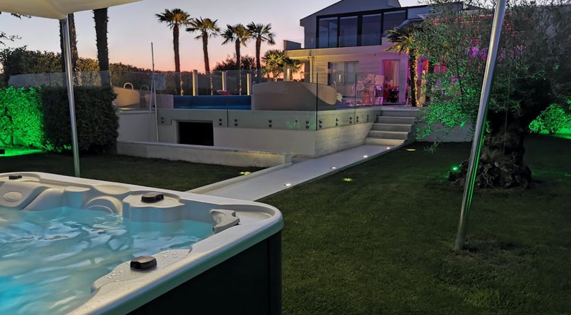 Photo of Dalmatian Dream