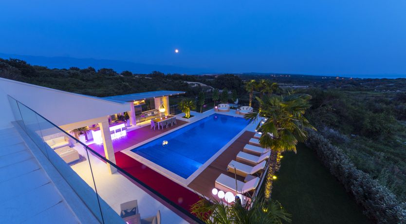 Photo of Dalmatian Dream