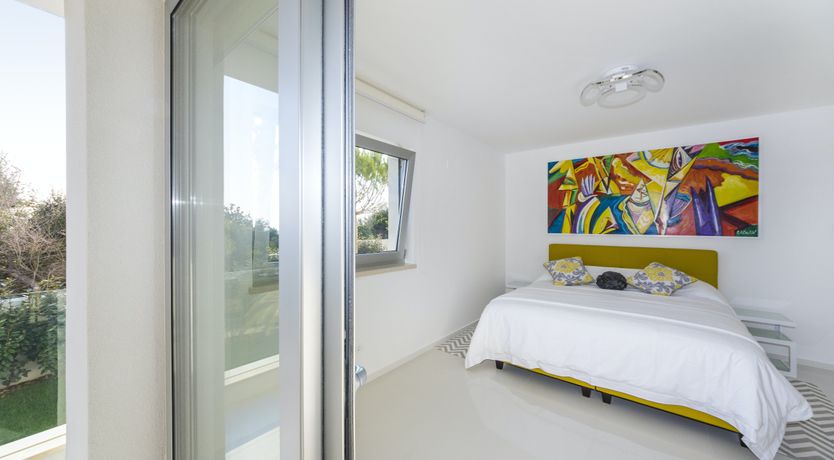 Photo of Dalmatian Dream