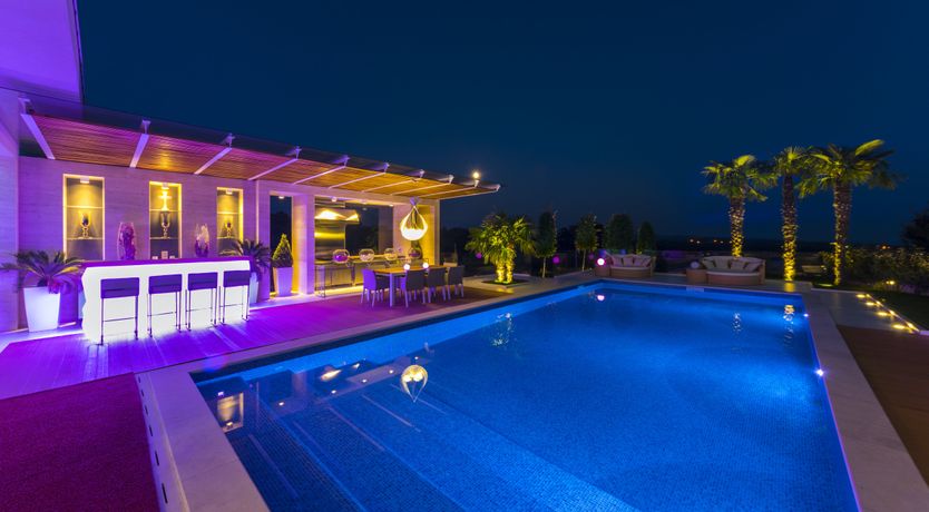 Photo of Dalmatian Dream