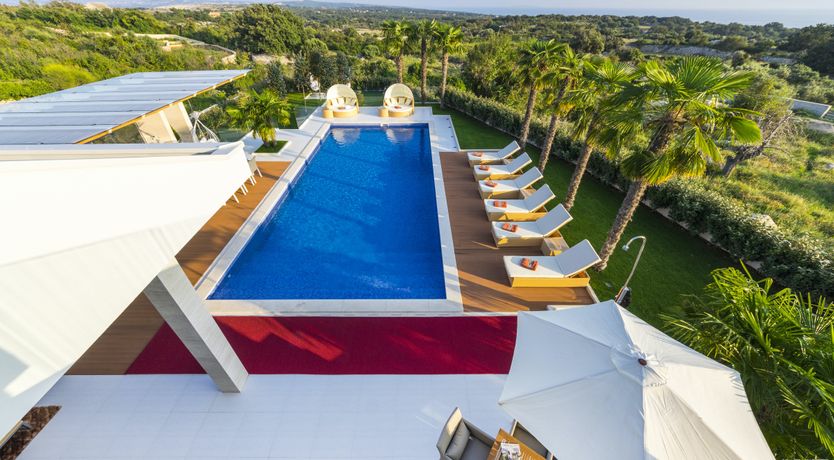 Photo of Dalmatian Dream