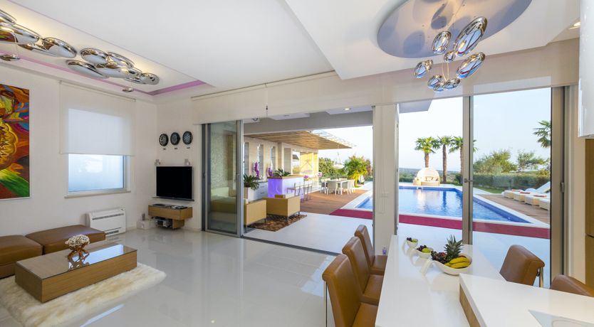 Photo of Dalmatian Dream