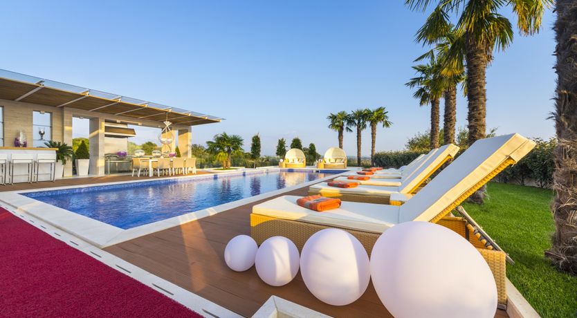 Photo of Dalmatian Dream