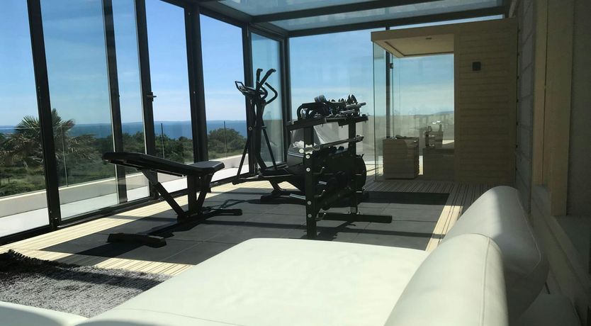 Photo of Dalmatian Dream