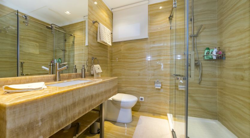 Photo of Dalmatian Dream