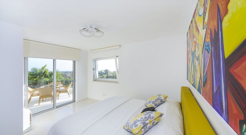 Photo of Dalmatian Dream