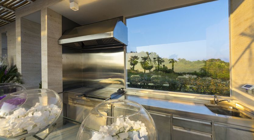 Photo of Dalmatian Dream