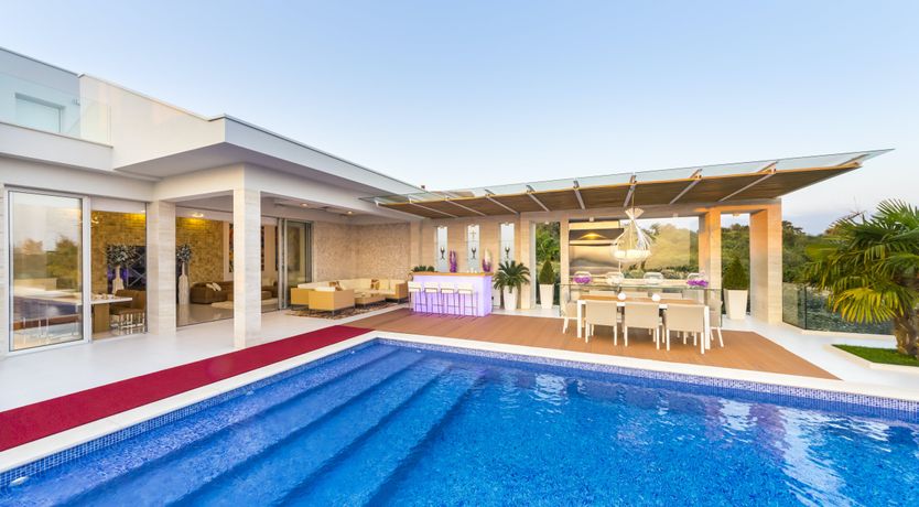 Photo of Dalmatian Dream