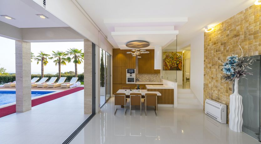 Photo of Dalmatian Dream