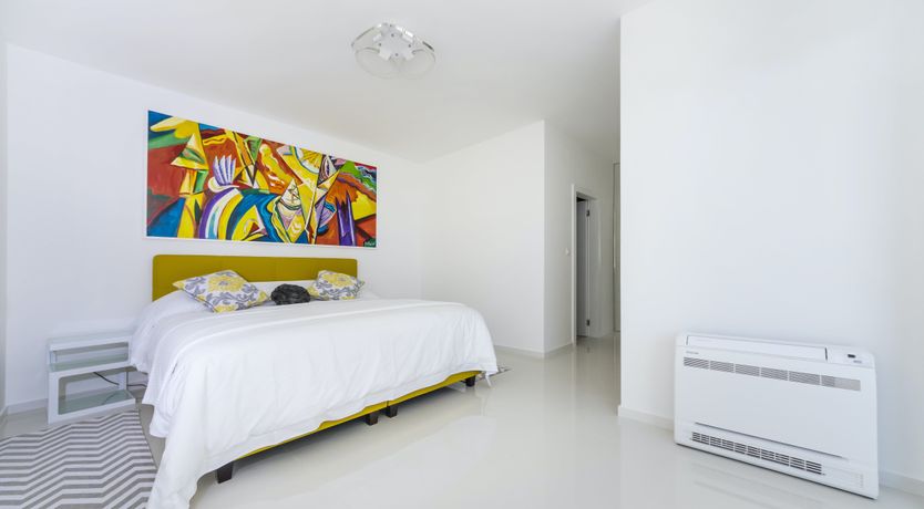 Photo of Dalmatian Dream