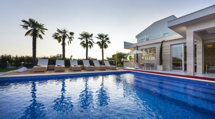 Photo of Dalmatian Dream