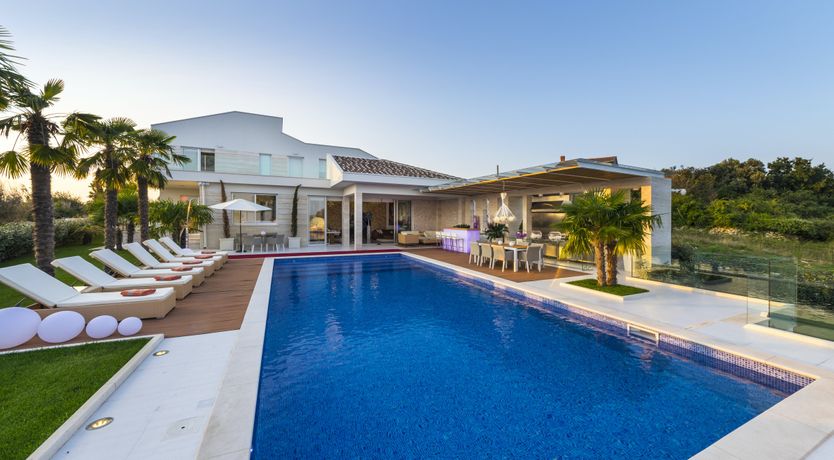 Photo of Dalmatian Dream