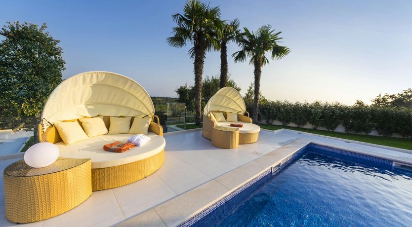 Photo of Dalmatian Dream