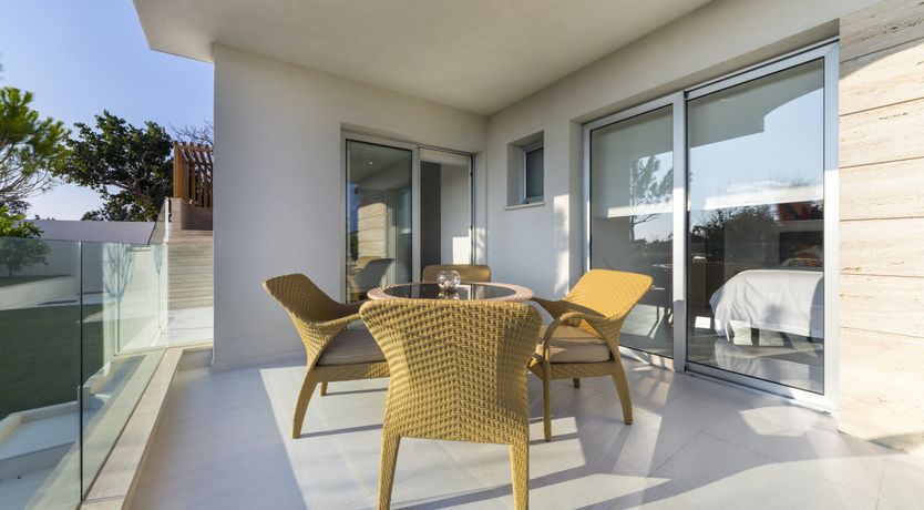 Photo of Dalmatian Dream