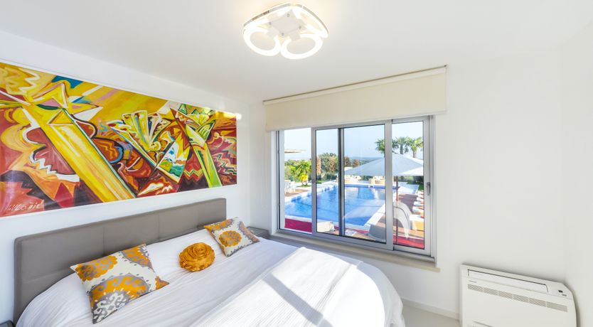 Photo of Dalmatian Dream