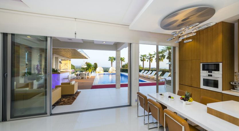 Photo of Dalmatian Dream