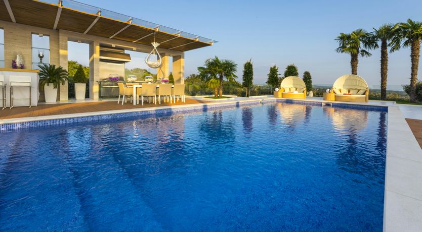 Photo of Dalmatian Dream