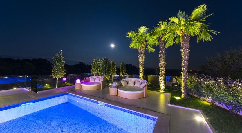 Photo of Dalmatian Dream