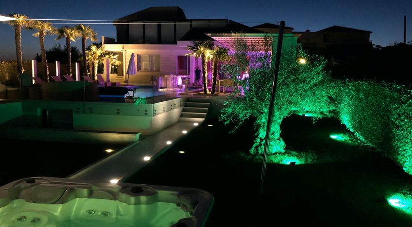 Photo of Dalmatian Dream