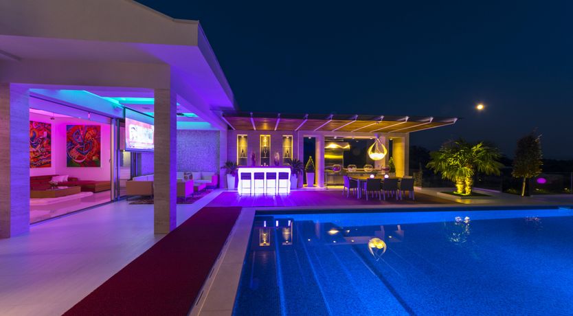 Photo of Dalmatian Dream